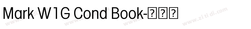 Mark W1G Cond Book字体转换